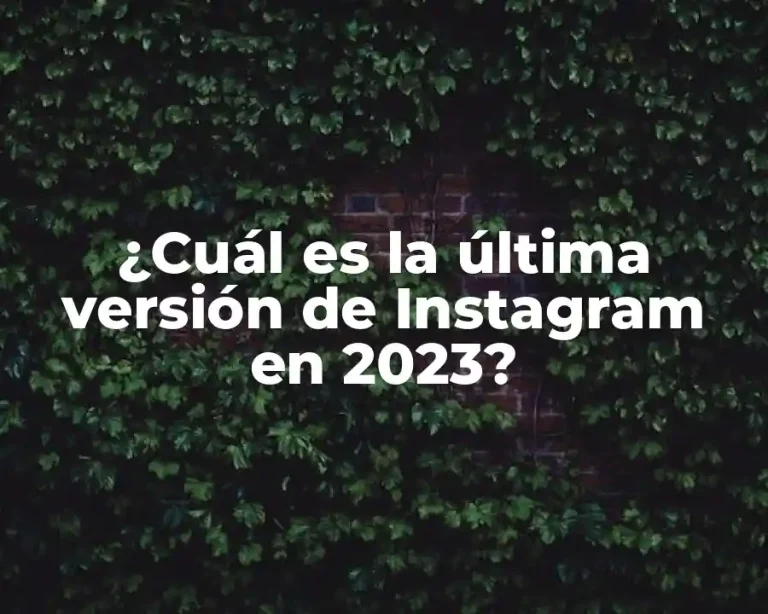 ¿Cuál es la última versión de Instagram en 2023?