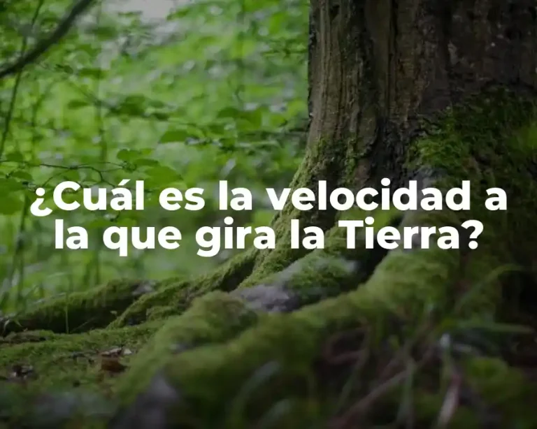 ¿Cuál es la velocidad a la que gira la Tierra?