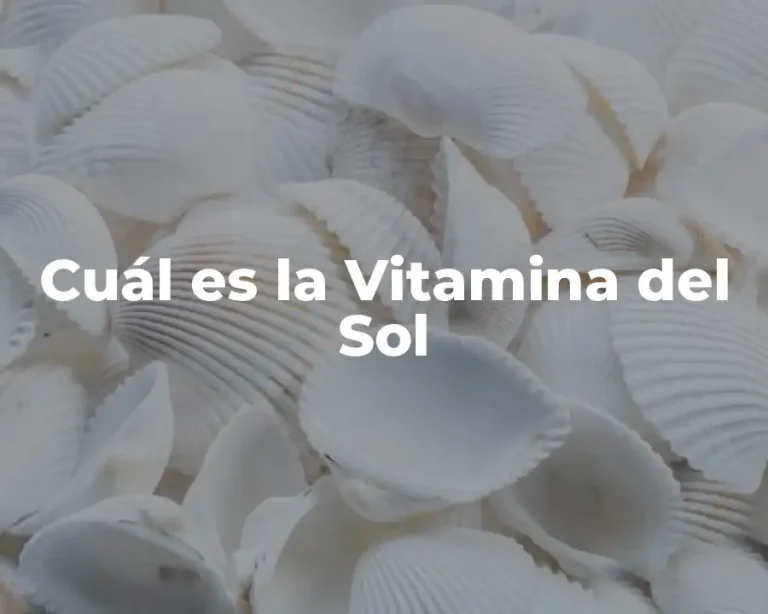 Cuál es la Vitamina del Sol