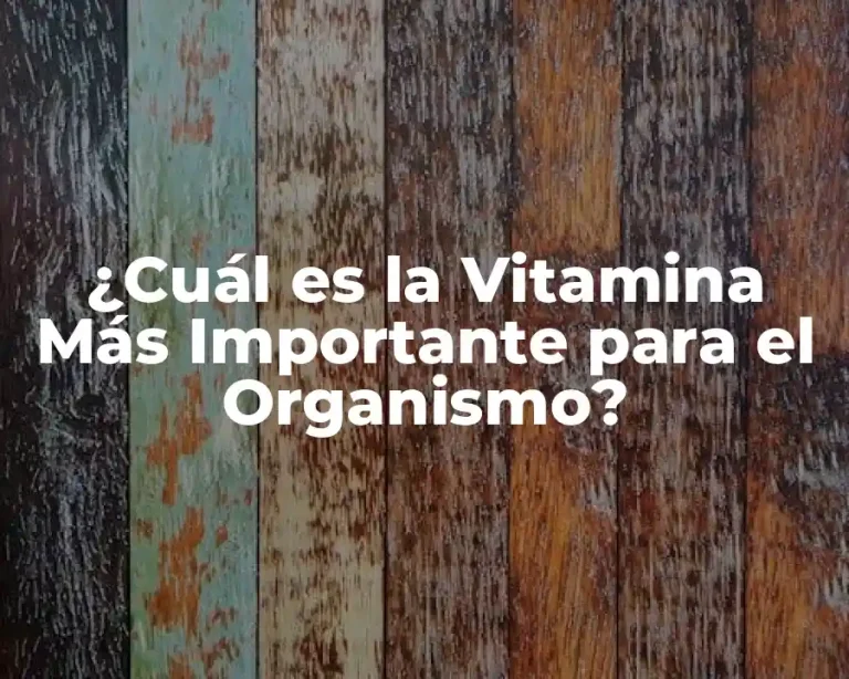 ¿Cuál es la Vitamina Más Importante para el Organismo?