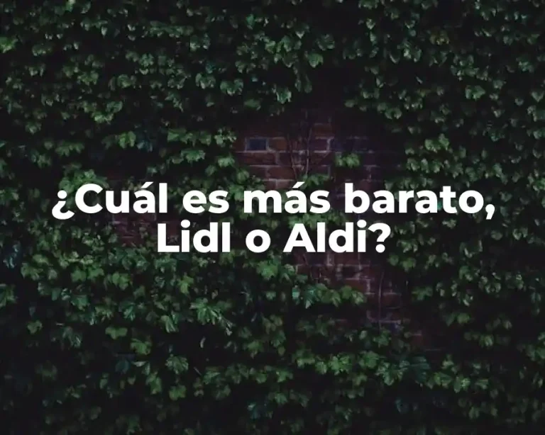 ¿Cuál es más barato, Lidl o Aldi?