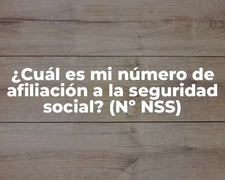 ¿Cuál es mi número de afiliación a la seguridad social? (Nº NSS)