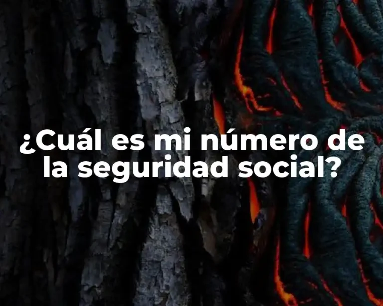 ¿Cuál es mi número de la seguridad social?