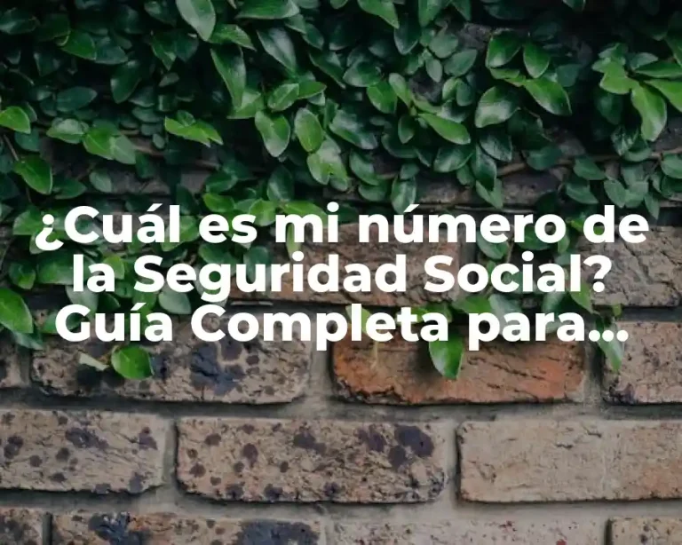 ¿Cuál es mi número de la Seguridad Social? Guía Completa para Encontrarlo