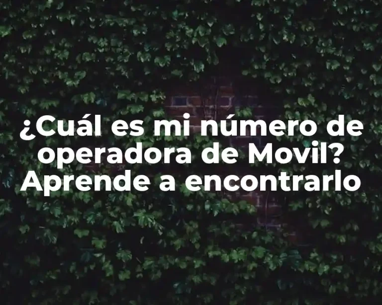 ¿Cuál es mi número de operadora de Movil? Aprende a encontrarlo