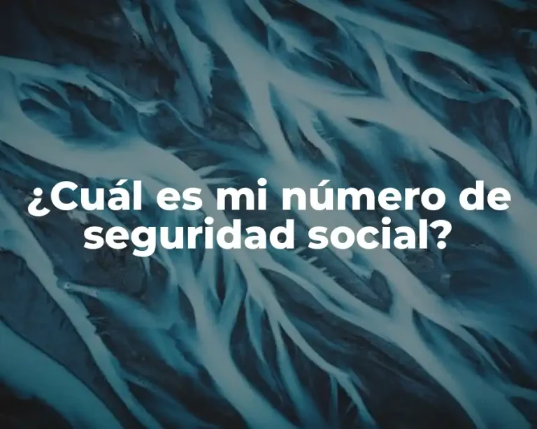 ¿Cuál es mi número de seguridad social?