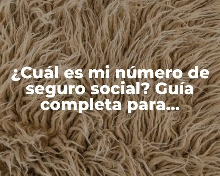 ¿Cuál es mi número de seguro social? Guía completa para encontrarlo