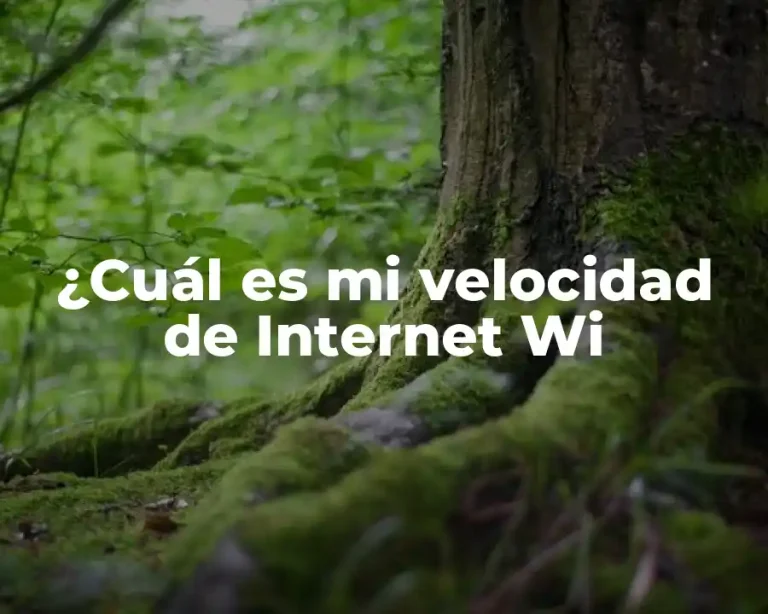 ¿Cuál es mi velocidad de Internet Wi