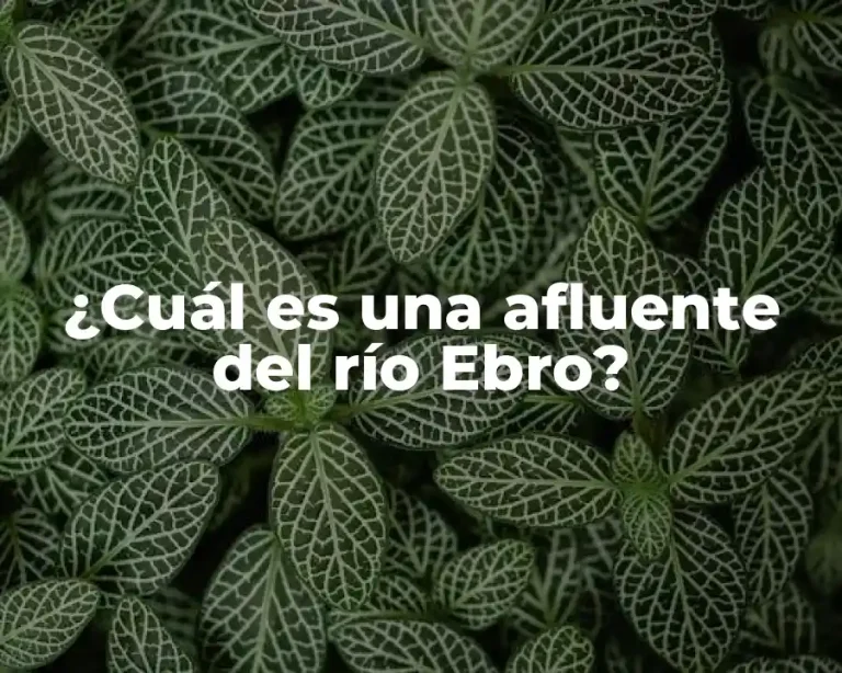 ¿Cuál es una afluente del río Ebro?