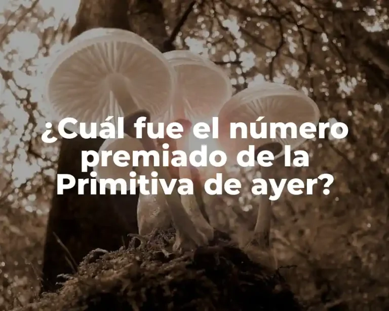 ¿Cuál fue el número premiado de la Primitiva de ayer?