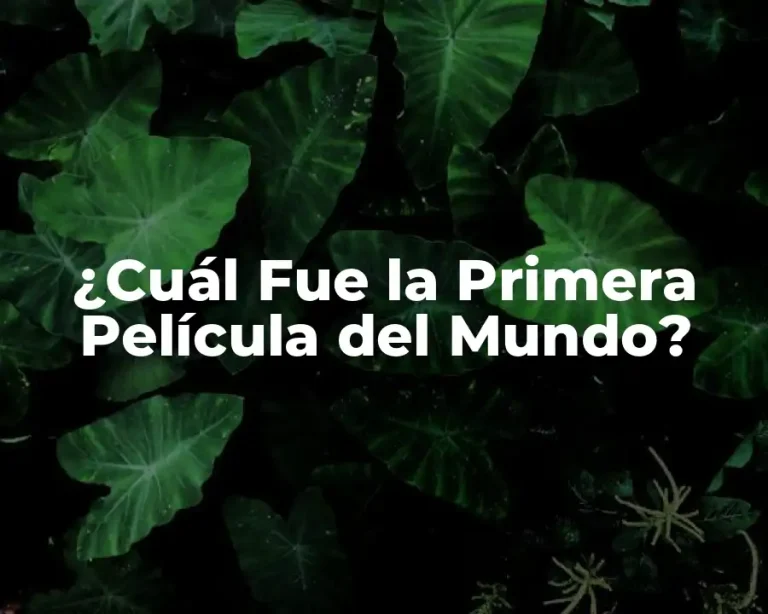 ¿Cuál Fue la Primera Película del Mundo?