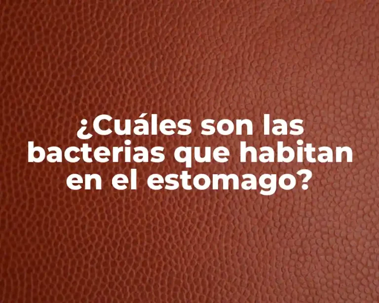 ¿Cuáles son las bacterias que habitan en el estomago?
