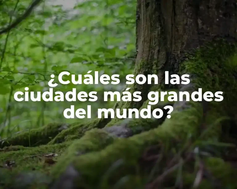 ¿Cuáles son las ciudades más grandes del mundo?