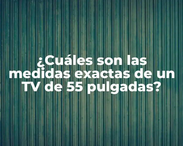 ¿Cuáles son las medidas exactas de un TV de 55 pulgadas?