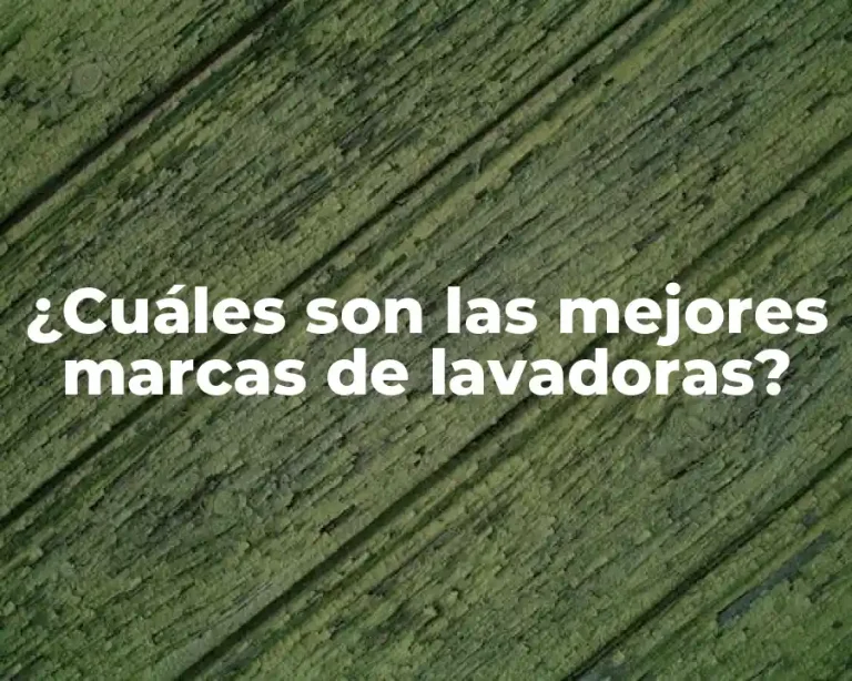 ¿Cuáles son las mejores marcas de lavadoras?