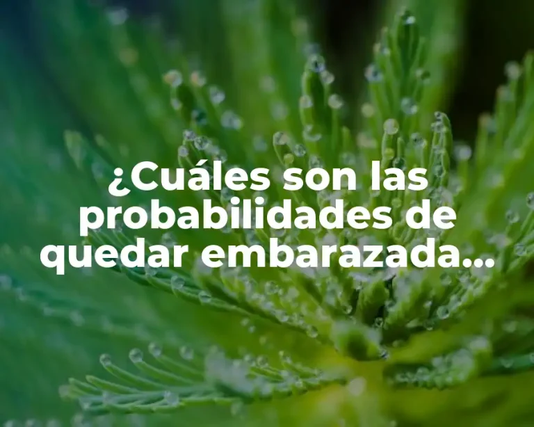 ¿Cuáles son las probabilidades de quedar embarazada después de una relación sexual?