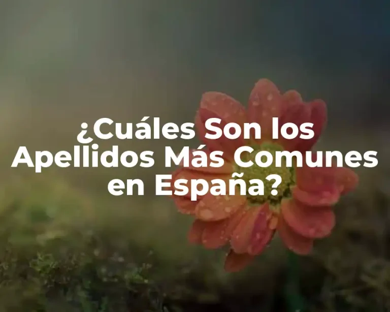 ¿Cuáles Son los Apellidos Más Comunes en España?