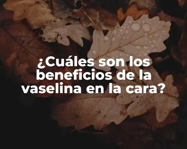 ¿Cuáles son los beneficios de la vaselina en la cara?