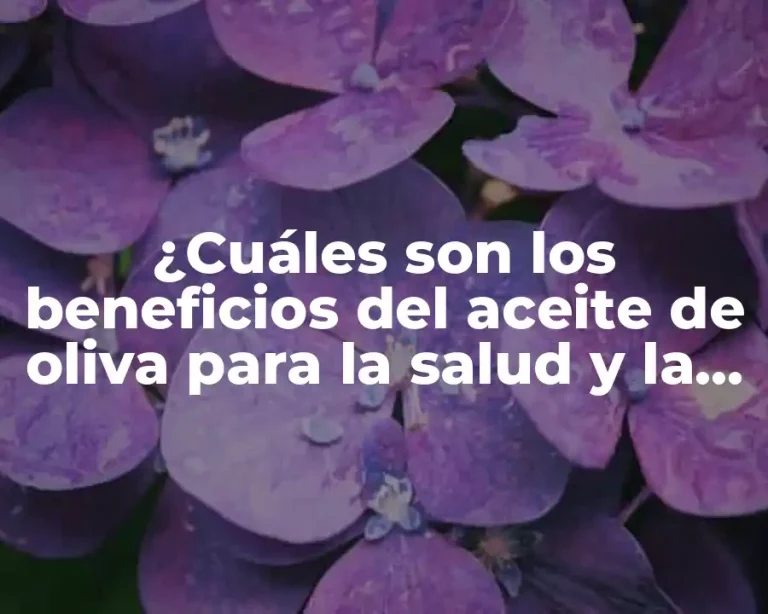 ¿Cuáles son los beneficios del aceite de oliva para la salud y la cocina?