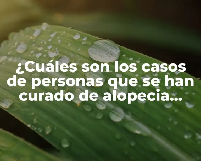 ¿Cuáles son los casos de personas que se han curado de alopecia areata?