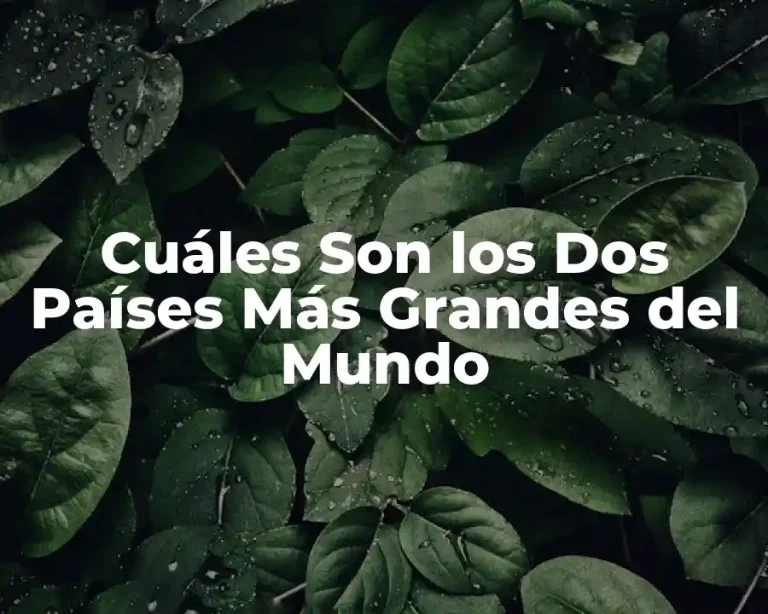 Cuáles Son los Dos Países Más Grandes del Mundo