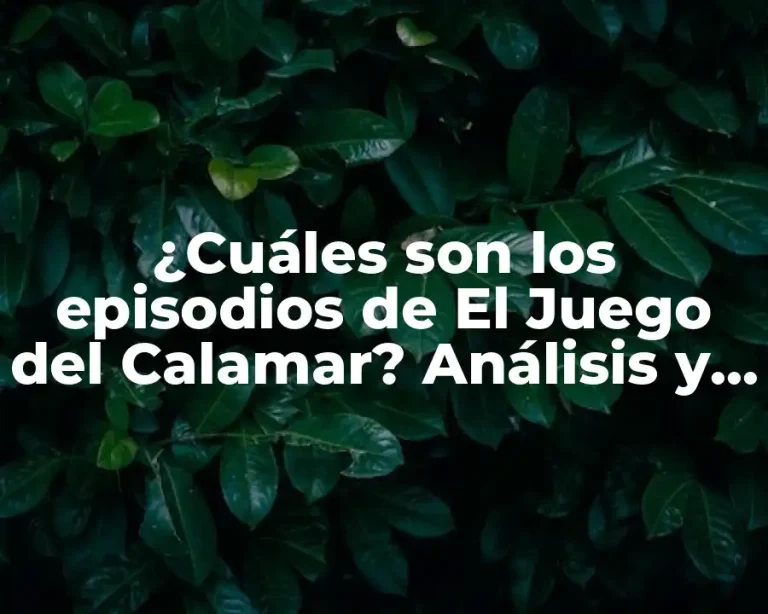 ¿Cuáles son los episodios de El Juego del Calamar? Análisis y explicación detallada
