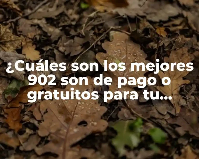 ¿Cuáles son los mejores 902 son de pago o gratuitos para tu negocio?