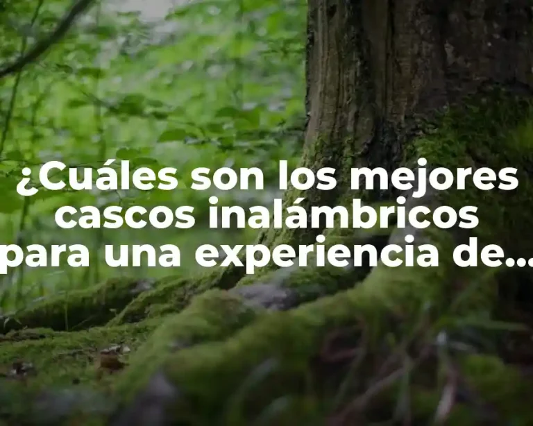 ¿Cuáles son los mejores cascos inalámbricos para una experiencia de audio óptima?