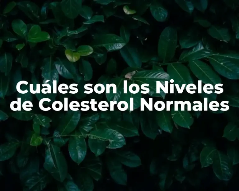 Cuáles son los Niveles de Colesterol Normales