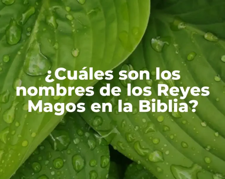 ¿Cuáles son los nombres de los Reyes Magos en la Biblia?