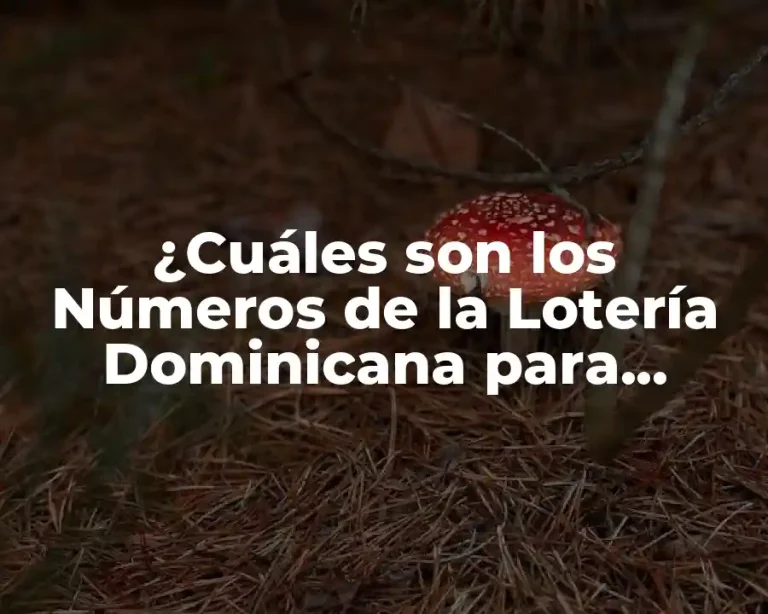 ¿Cuáles son los Números de la Lotería Dominicana para Ganar?