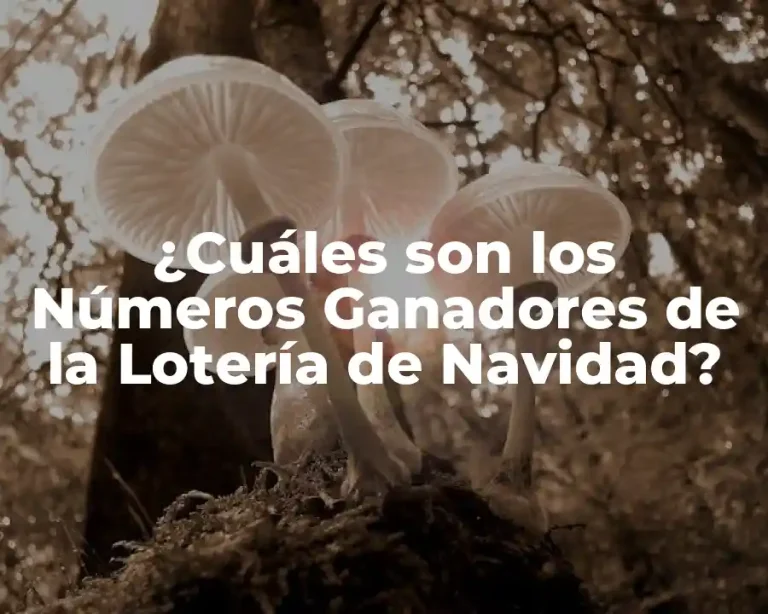 ¿Cuáles son los Números Ganadores de la Lotería de Navidad?