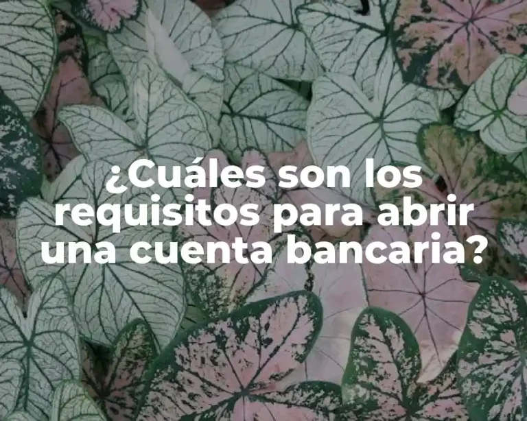 ¿Cuáles son los requisitos para abrir una cuenta bancaria?