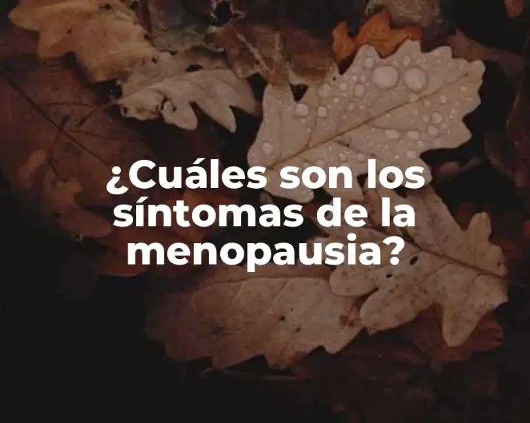 ¿Cuáles son los síntomas de la menopausia?