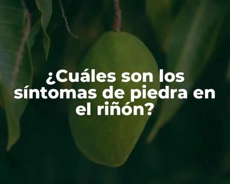 ¿Cuáles son los síntomas de piedra en el riñón?