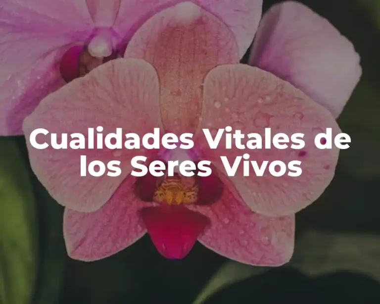 Cualidades Vitales de los Seres Vivos