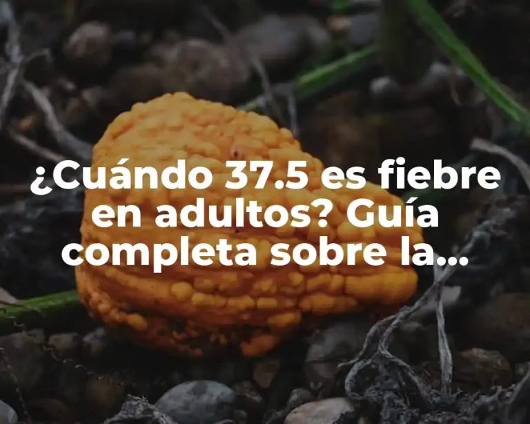 ¿Cuándo 37.5 es fiebre en adultos? Guía completa sobre la temperatura corporal