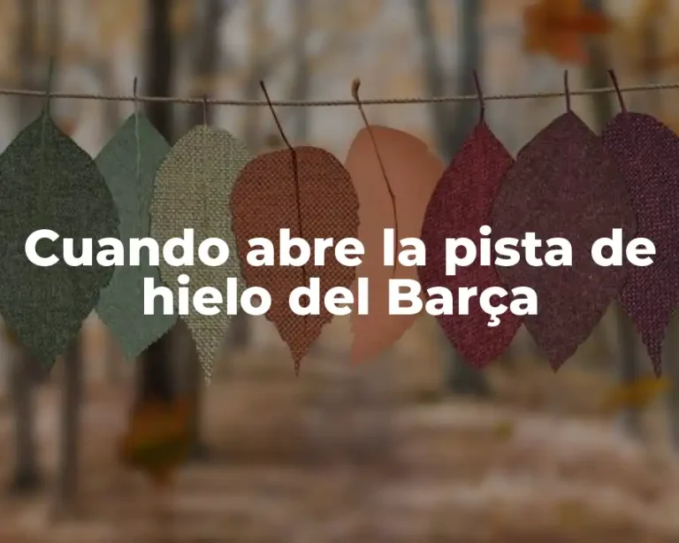 Cuando abre la pista de hielo del Barça