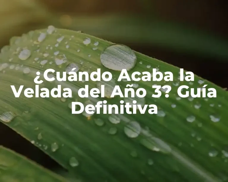 ¿Cuándo Acaba la Velada del Año 3? Guía Definitiva