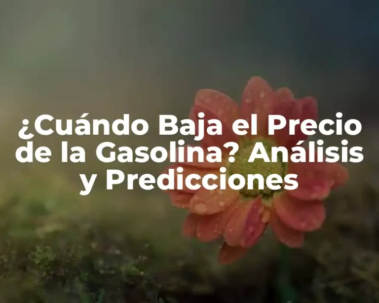 ¿Cuándo Baja el Precio de la Gasolina? Análisis y Predicciones