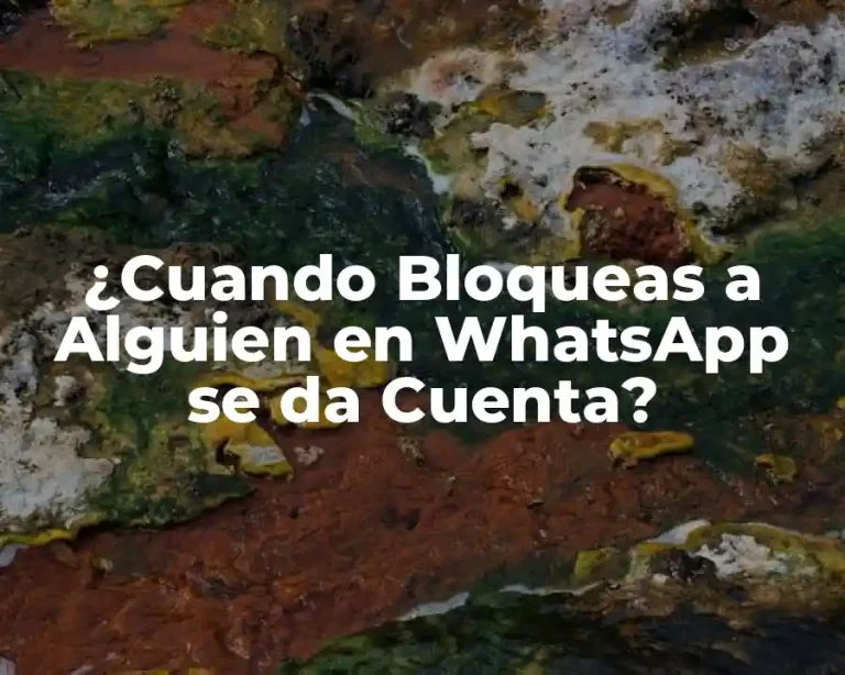 ¿Cuando Bloqueas a Alguien en WhatsApp se da Cuenta?