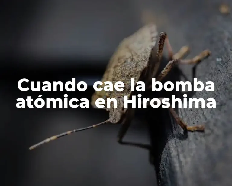 Cuando cae la bomba atómica en Hiroshima