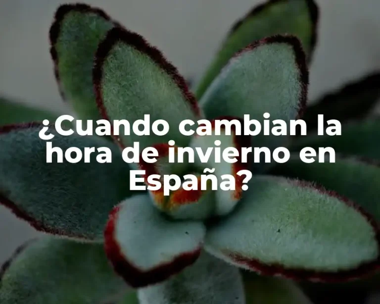 ¿Cuando cambian la hora de invierno en España?