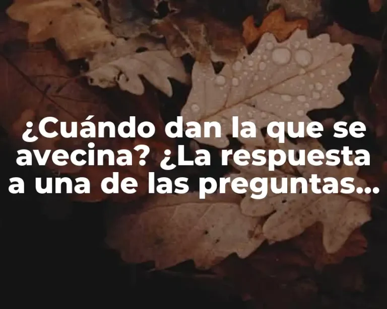 ¿Cuándo dan la que se avecina? ¿La respuesta a una de las preguntas más frecuentes sobre la serie de TV?
