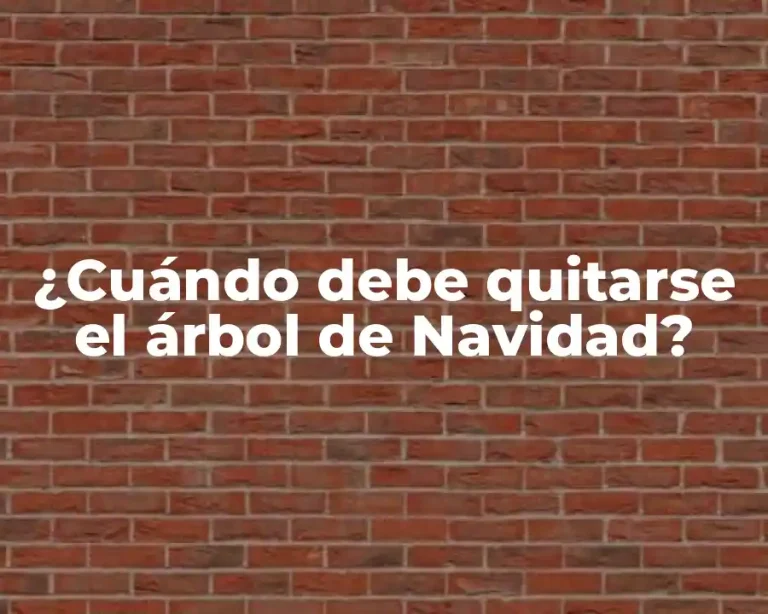 ¿Cuándo debe quitarse el árbol de Navidad?