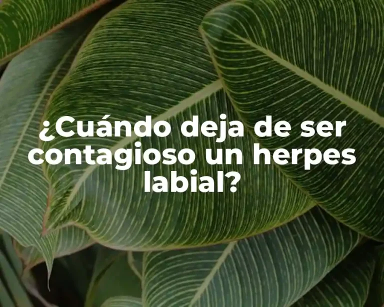 ¿Cuándo deja de ser contagioso un herpes labial?