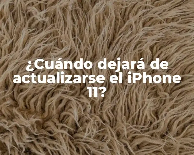 ¿Cuándo dejará de actualizarse el iPhone 11?