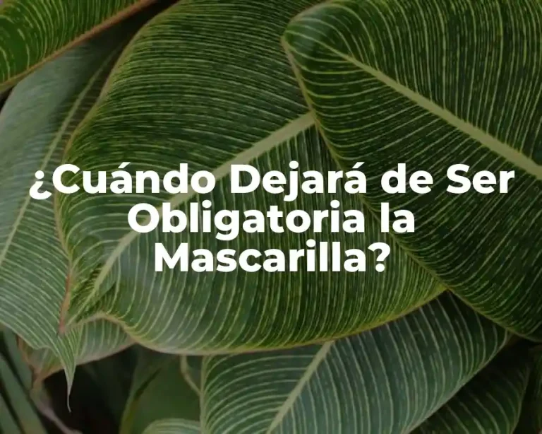 ¿Cuándo Dejará de Ser Obligatoria la Mascarilla?