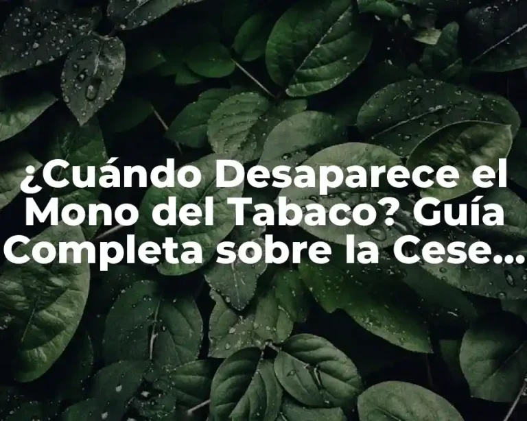 ¿Cuándo Desaparece el Mono del Tabaco? Guía Completa sobre la Cese de la Adicción al Tabaco