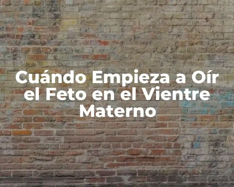 Cuándo Empieza a Oír el Feto en el Vientre Materno